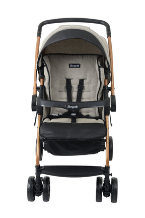 Burigotto - Kit Carrinho de Bebê TS Travel System com Bebê Conforto